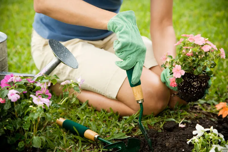 VERDECER - Servicio de jardinería en Madrid - foto 2