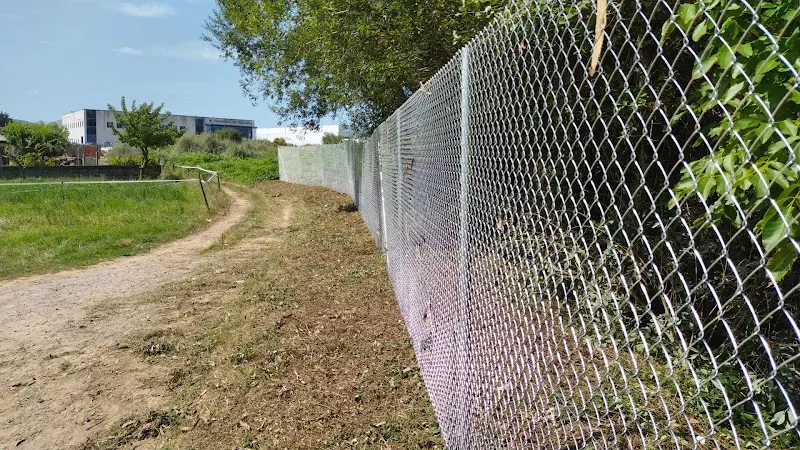 Agronsa - Servicio de jardinería en Madrid - foto 2