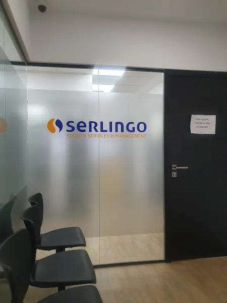 Serlingo Empresa de limpieza en Madrid