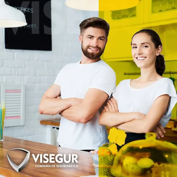 Visegur | Empresa de alarmas de seguridad en Madrid