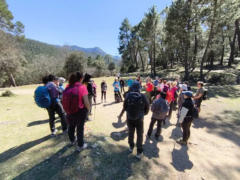 Diverde Naturaleza | Excursiones y Educación Ambiental Madrid - Madrid
