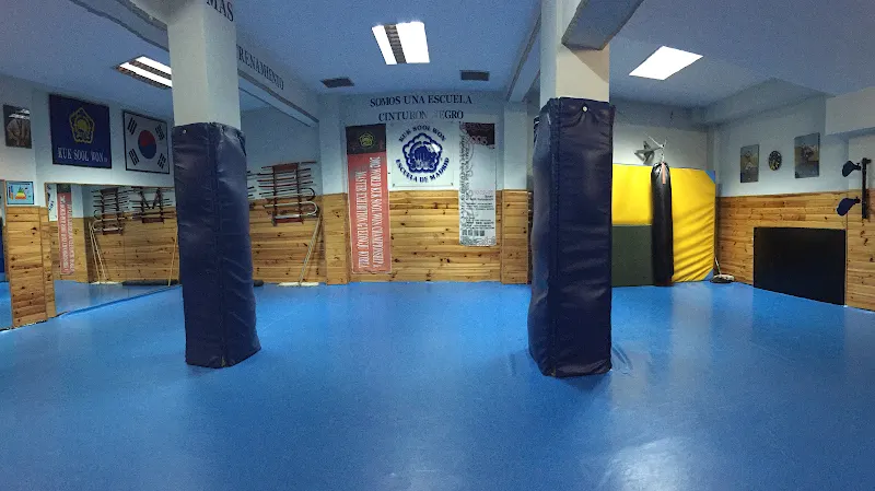 Kuk Sool Won Madrid - Escuela de artes marciales en Madrid - foto 2