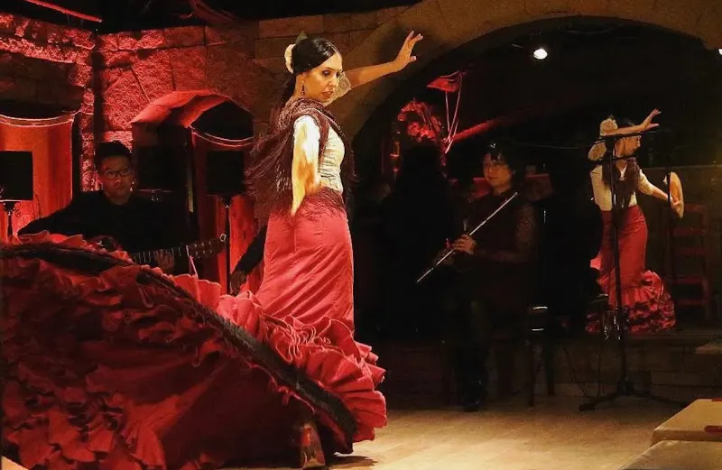 Escuela de Flamenco Megumi - Madrid
