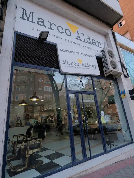Marco Aldany Academia