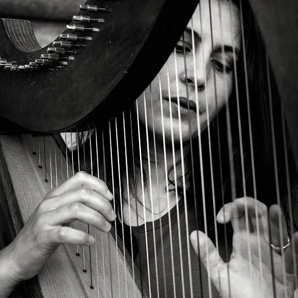 Eventos y Clases de arpa - Profesor de música en Madrid - foto 2