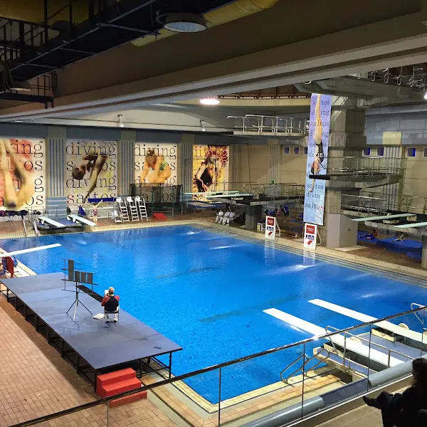 Real Federación Española de Natación - Asociación u organización en Madrid - foto 2