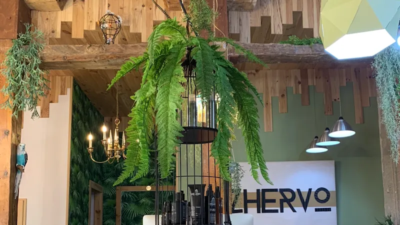 Zhervo Lavapies Peluquería Orgánica - Peluquería en Madrid - foto 2