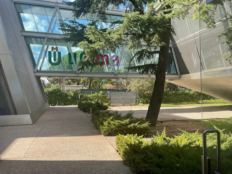 Universidad a Distancia de Madrid (UDIMA)