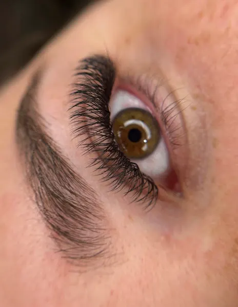 Pestañas Cejas Rockup_lashbrows