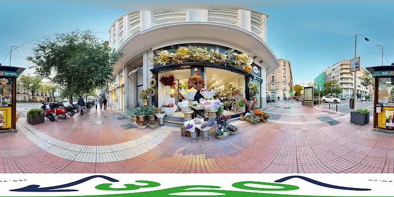 FLORA Urban Jungle Concept - Floristería en Madrid - foto 2