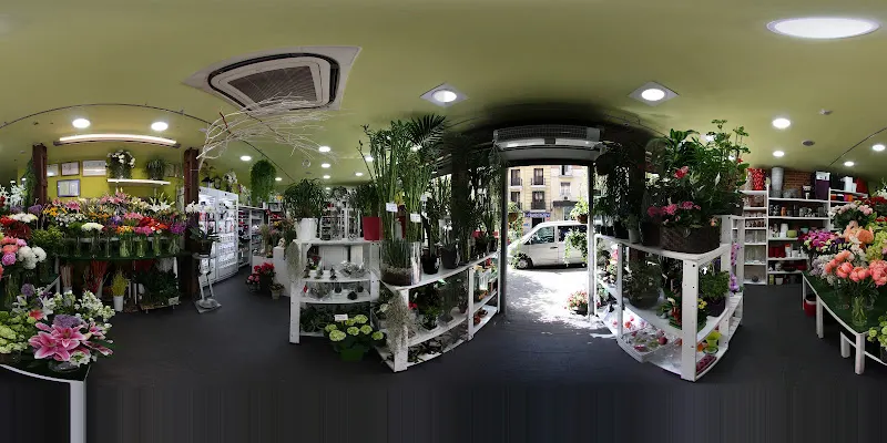 Madrid Floral