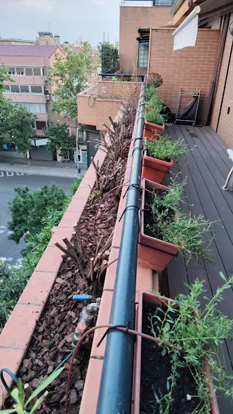Limpiezas y Jardinería Siempre Verde - Madrid