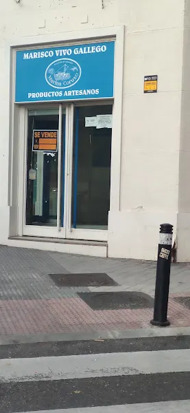 Marina Coruxo | Marisco Madrid - Madrid