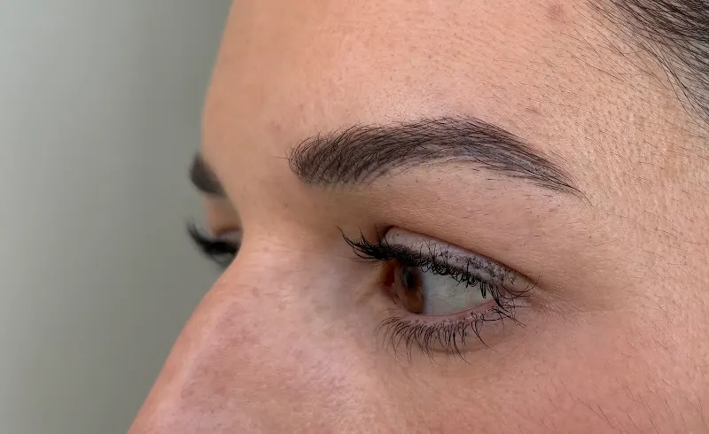 Tebori Brows S.L