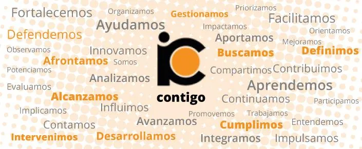 ICONG - Instituto para la Calidad de las ONG