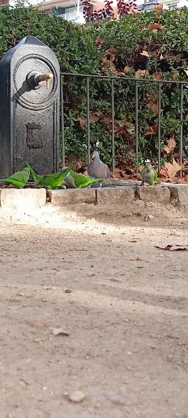 Parque infantil