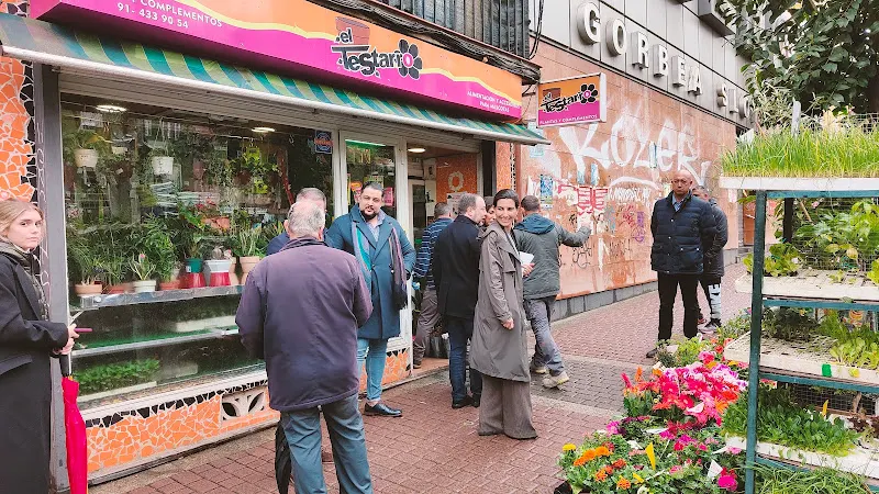 El Testarro Huerta Madrid