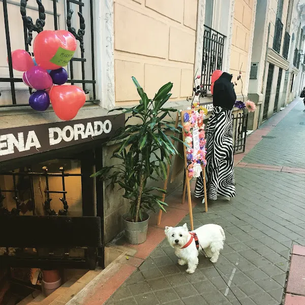 Almudena Dorado