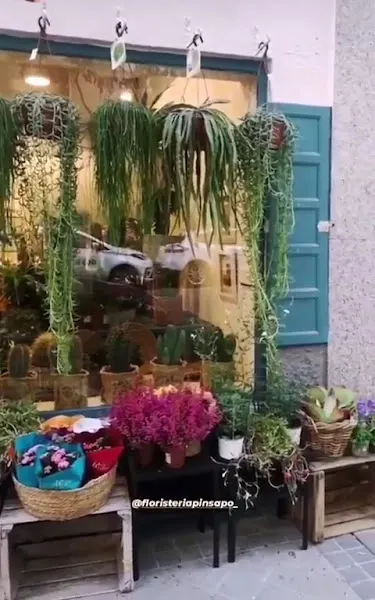 Floristería Pinsapo Chamberí - Madrid