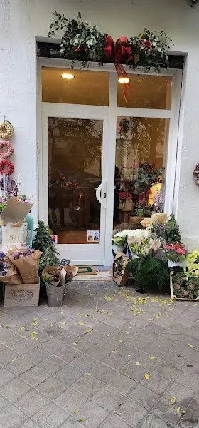 Arboutiquefloral - Madrid