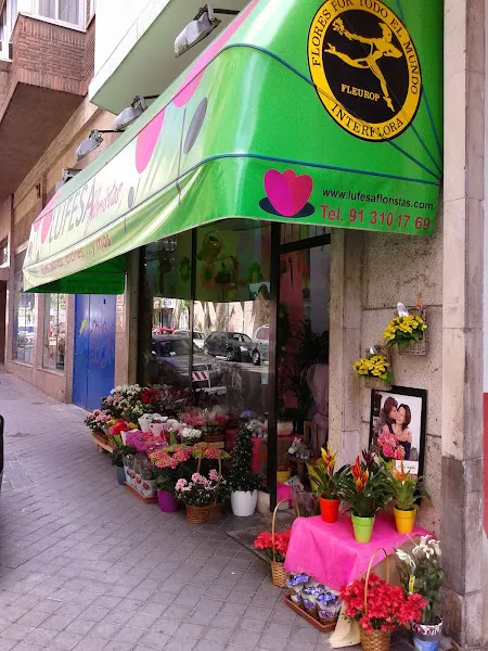 Lufesa Floristas - Madrid