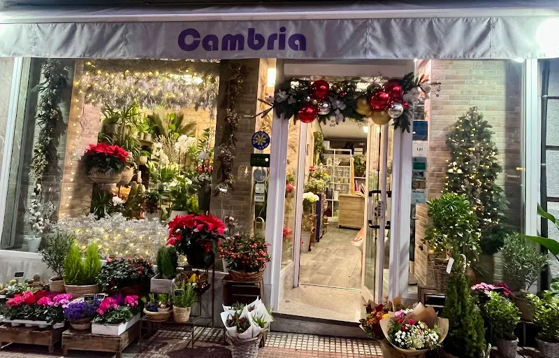 Floristería Cambria - Chamberí