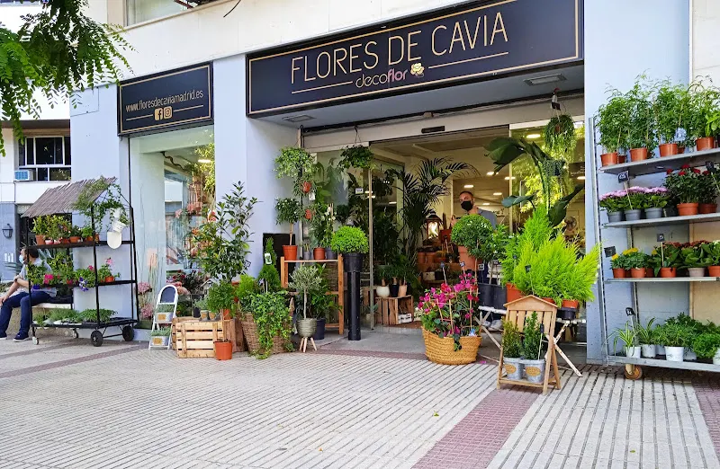 Flores de Cavia - Madrid
