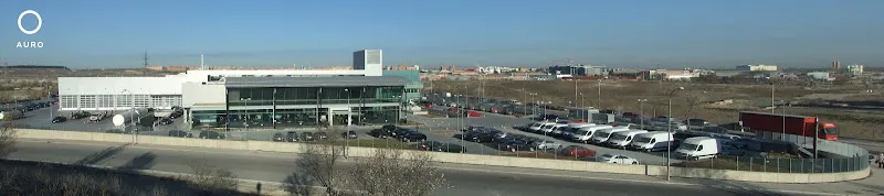 Auro