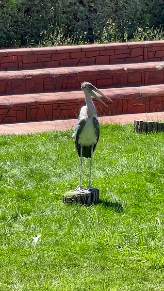 Aviario - Zoo en Madrid - foto 2
