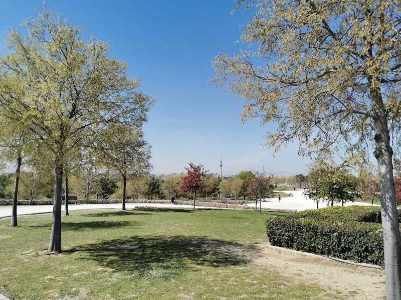 Parque canino