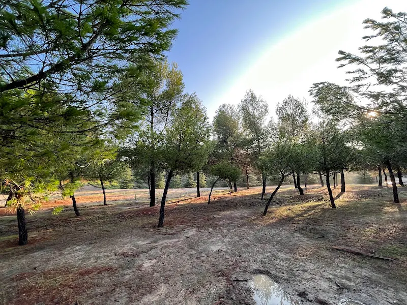 Parque canino - Parque para perros en Madrid - foto 2