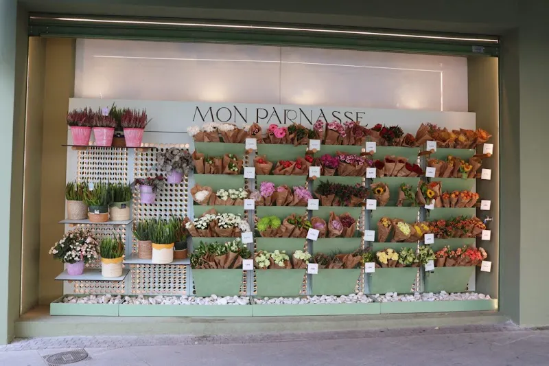 Mon Parnasse Flores - Conde de Casal