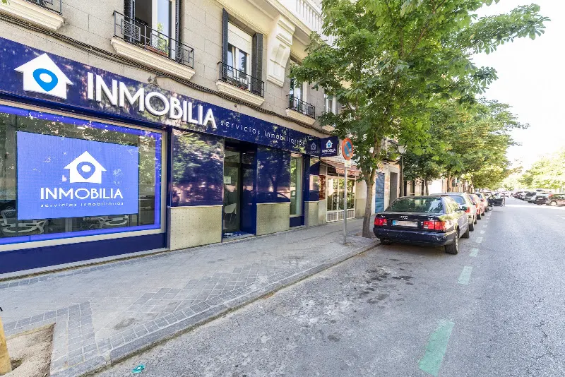 Grupo Inmobilia - Madrid