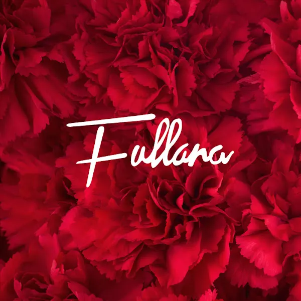 FULLANA