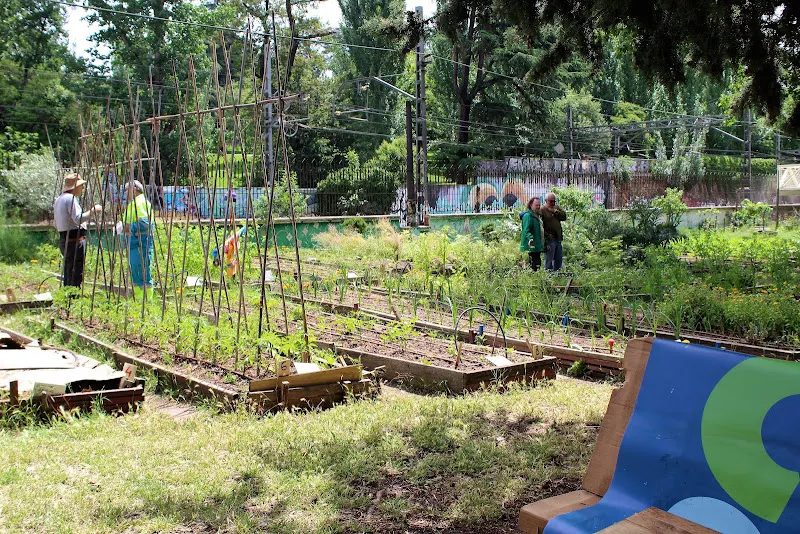 Huerto Urbano Comunitario "La bombilla"