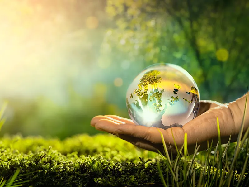 Pamay