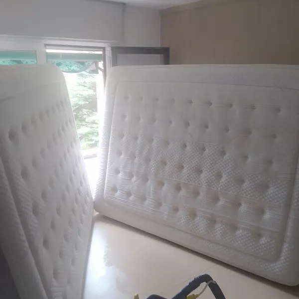 TaPiNet MADRiD - Limpiezas de sofas a domicilio - Madrid
